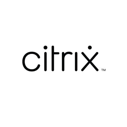 citrix-Zuschnitt-500-kleiner